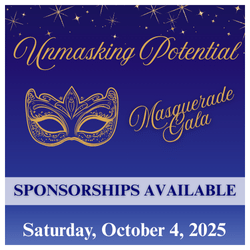 Sponsorships and auction item donations welcome!